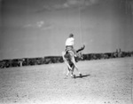 Pecos (Texas) rodeo by Frank Reeves Sr.