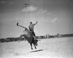 Pecos (Texas) rodeo by Frank Reeves Sr.