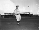 Fort Worth Cats baseball player, Fred Stiely, pitching