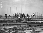 Construction of a cattle barn for the Fort Worth Frontier Centennial
