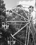 Forest Park Zoo concessions and Ferris wheel