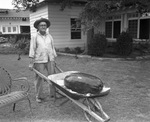 Unidentified man wheeling watermelon in wheelbarrow at Amon G. Carter's residence