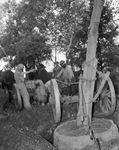 Tree being uprooted to be transplanted to attorney Gillis Johnson's home at Mary's Creek; A.O. Mabry supervises tree removal