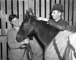 Fort Worth Fall Horse Show and Community Circus Grooms, T. DiMoncontonio, left, and Joe Harvey, of Pinehurst Stables, Orange, Texas, clipping Hackney pony, Cassilis Ranna, 11/1937