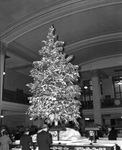 Lobby of First National Bank with Christmas tree