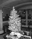 Lobby of First National Bank with Christmas tree