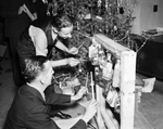 Star-Telegram employees and a Christmas tree