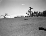 San Angelo Fat Stock Show and Rodeo by Frank Reeves Sr.