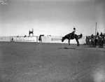 San Angelo Fat Stock Show and Rodeo by Frank Reeves Sr.