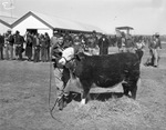 San Angelo Fat Stock Show and Rodeo by Frank Reeves Sr.