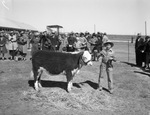 San Angelo Fat Stock Show and Rodeo by Frank Reeves Sr.