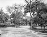 Fort Worth park scene: around a driveway leading to Forest Park
