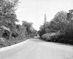 Fort Worth park scene: driveway leading to Forest Park