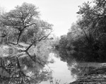 Fort Worth park scene: looking down the lagoon under stately trees in Trinity Park