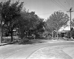 Fort Worth Park Department tree trimmers shape trees along the streets near Mistletoe Avenue and Forest Park Boulevard following complaint that the tree trimming was too severe