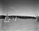 Fort Worth Boat Club; sail boats on the lake [Lake Worth?], 06/1938