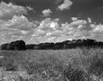 Texas and Pacific Railroad, locomotives in a field