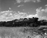Texas and Pacific Railroad, close-up of locomotives in a field