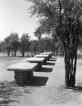 Lake Brownwood State Park; concrete and stone picnic tables