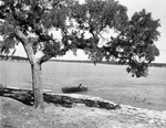 Lake Brownwood State Park; man in motor boat on the lake near the shore