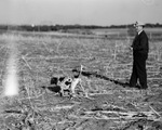 Fort Worth Pointer and Setter Club field trials at Bowie, Texas