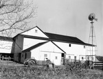 Cattle from the S. M. S. Ranch near Stamford, Texas by Frank Reeves Sr.