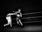 Golden Gloves 1940 Season