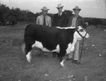 Mayfield Kothmann, right, owner of the prize steer