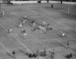 1942 Cotton Bowl Classic, the Texas A&M Aggies is facing off against the Alabama Crimson Tide by Tom Dillard