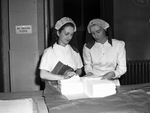 Red Cross workers