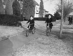 Bicycle Riders
