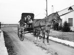 Mr. and Mrs. Sherman Willard riding a buggy