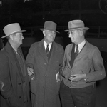 Houston Livestock Show by Frank Reeves Sr.