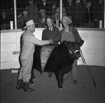 Houston Fat Stock Show by Frank Reeves Sr.