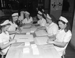 Red Cross workers