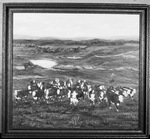 Copy "Spring Roundup," an oil painting by C. Shore of Lott, Texas