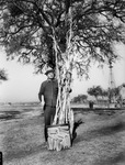 George H. Kiosseff of Fort Worth, Texas, with a shock of cornstalks and a box of cobs of corn