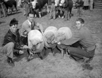 Palo Pinto County Livestock Show and Rodeo by Frank Reeves Sr.