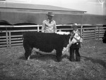 Palo Pinto County Livestock Show and Rodeo by Frank Reeves Sr.