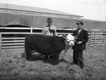 Palo Pinto County Livestock Show and Rodeo by Frank Reeves Sr.