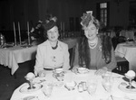 Mrs. A. M. Hall and Mrs. Edgar N. Gott of San Diego, California
