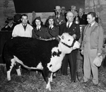 Southwestern Exposition and Fat Stock Show Red Cross Sale