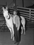 Grady Blue with his horse