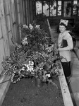 Mrs. C. A. Culps looking at flowers to be taken to Camp Wolters