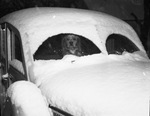 Dog looking through windshield of a snow-covered car