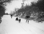 Nellie Warner riding on a dog sled