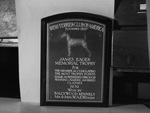 W. A. E. Woods brought two of six Irish Terrier Trophies to Texas