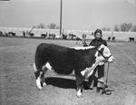 San Saba County Livestock Show by Frank Reeves Sr.