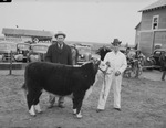 Jack Parker and his first prize calf