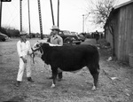 John Sedwick with his champion baby beef at the Shackelford County Club Show